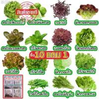 ราคา เมล็ดผักอินทรีย์ เมล็ดพันธุ์ผักสลัด เมล็ดผักสลัด 100-200 เมล็ด 10 บาท [10 แถม 1 คละได้] COD (1731404801932428489)