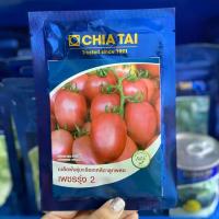 ราคา มะเขือเทศสีดาลูกผสม เพชรรุ่ง เจียไต๋ 4000 เมล็ด (1732369611373511736)