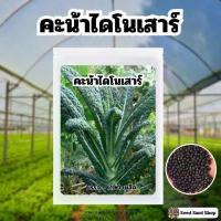 ราคา เมล็ดพันธุ์คะน้าไดโนเสาร์ Dinosaur Kale บรรจุ~200 เมล็ด (1731904643789588915)