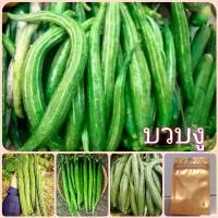 ราคา เมล็ดพันธุ์บวบงู บรรจุ30เมล็ด (1729760846630718271)