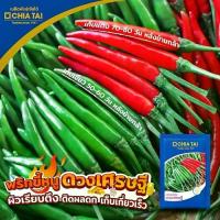 ราคา เมล็ดพริกขี้หนู ดวงเศรษฐี ขนาด1,000เมล็ด ตราเจียไต๋ เมล็ดพันธุ์พริกขี้หนู พริกขี้หนูดวงเศรษฐี เมล็ดพันธุ์พริก เจียไต๋ (1732316297835481663)