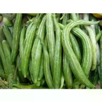ราคา เมล็ดพันธุ์บวบงู บรรจุ30เมล็ด (1729774608103607103)