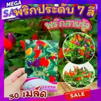 ราคา พริกประดับ 7 สี 30 เมล็ด พริกสายรุ้ง ไม้ประดับ พริกประดับหลายสีสัน สวยงาม ลูกดก ปลูกง่าย HGK (1729725303940287264)