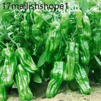 ราคา พริกหยวกญี่ปุ่นถูกที่สุด10บ. เมล็ดพันธุ์พริกพริกหยวกญี่ปุ่น 10-60เมล็ดงอกง่าย โตไว☘️ ผลดกมากทานอร่อย (1731892850349410826)