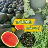 ราคา เมล็ดพันธุ์แตงโมไร้เมล็ด ชุด 10 เมล็ด เมล็ดพันธุ์นำเข้า (1732531069797893415)