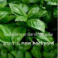 ราคา เมล็ดพันธุ์ต้นโหรพาอิตตาลี่ ชุดละ200เมล็ด และวิธีปลูก (1729625469589097014)