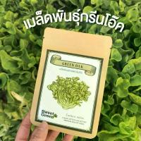 ราคา เมล็ดพันธุ์กรีนโอ๊ค (มี 30เมล็ด) (Green Oak Seeds) (1729583294986029785)