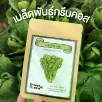 ราคา เมล็ดพันธุ์กรีนคอส (มี 30เมล็ด) (Green Cos Seeds) (1729583397743790809)