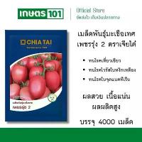 ราคา มะเขือเทศสีดาลูกผสม เพชรรุ่ง 2 ตราเจียไต๋ ซองใหญ่ 4000เมล็ด (1732355366538020838)