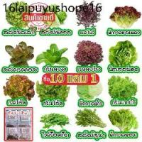 ราคา เมล็ดผักอินทรีย์ เมล็ดพันธุ์ผักสลัด เมล็ดผักสลัด 100-200 เมล็ด 10 บาท [10 แถม 1 คละได้] (1732188630837397688)