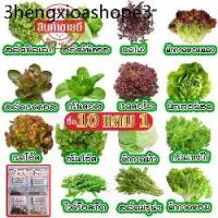 ราคา เมล็ดผักอินทรีย์ เมล็ดพันธุ์ผักสลัด เมล็ดผักสลัด 100-200 เมล็ด 10 บาท [10 แถม 1 คละได้] (1732179867460864919)