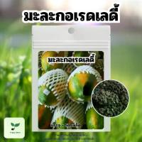 ราคา เมล็ดพันธ์ุ มะละกอเรดเลดี้ บรรจุ 50 เมล็ด พร้อมวิธีเพาะปลูก (1731215920799385798)