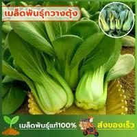 ราคา เมล็ดพันธุ์กวางตุ้งฮ่องเต้ ซองละ 100 เมล็ด (1730610176620595450)