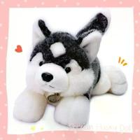 ราคา ส่งจากไทย ตุ๊กตาไซบีเรียน ฮัสกี้ Siberian Husky Doll ตุ๊กตาหมา ตุ๊กตาผ้าขน สุนัข ตุ๊กตาน่ารัก สะสม ขนเทียม เหมือนจริง (1732744508936062866)