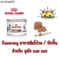 ราคา Royal Canin Recovery อาหารเปียก อาหารเหลว สำหรับสุนัข แมว ป่วย ระยะพักฟื้น ผ่าตัด (1732604726567012286)