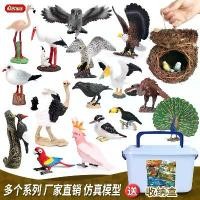 ราคา โมเดลของเล่นสัตว์เหมือนจริงสำหรับเด็ก ข้ามพรมแดน ประกอบด้วย นก นกแก้ว นกแก้ว นกแก้ว และนกนางแอ่น ชุดตุ๊กตาไข่นกกระจิบ (1732214170767295790)