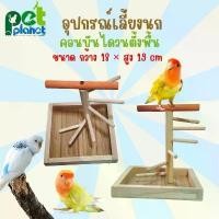 ราคา คอนบันไดวนตั้งพื้น อุปกรณ์แต่งกรง อุปกรณ์เลี้ยงนก กรงนก คอนไม้ สำหรับนก คอนบันได สำหรับ นก นกแก้ว นกหงส์หยก นกเลิฟเบิร์ด (1732482231770842423)
