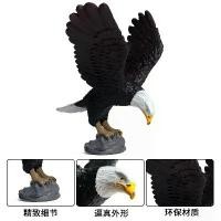 ราคา ของเล่นโมเดลสัตว์จำลองสำหรับเด็ก, สีทึบ, นก, นกอินทรี, นกแก้ว, นกอินทรีทะเล, นกอีมู, ปี 2025 (1732656470868854509)