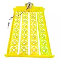 ราคา ถาดตู้ฟักไข่อัตโนมัติ, เครื่องฟักไข่อัตโนมัติ, ถาดไข่ 32 ช่อง, เหมาะสำหรับเป็ด, นก, ลูกไก่, ไข่สัตว์ปีก, อุปกรณ์ตู้ฟักไข่อื่น ๆ (1732184501455717730)