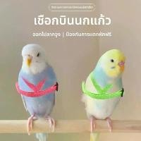 ราคา เชือกสายรัดการบินนกแก้ว เชือกลากการบินเบามาก ดอกโบตั๋น Xuanfeng นกซันคอนัวร์น้อย เชือกบิน สำหรับการเดินของนกแก้ว บ่วง ดักนกกวัก sangkar jerung กรง กิ้งก่า รังนก ยาง คารา รัง เพาะ นก (17320862546191665