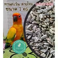 ราคา [พร้อมส่ง] เมล็ดทานตะวันลายไทย (เมล็ดขนาดเล็ก) 500g.,1kg.,3kg.,4kg.,5kg. อาหารนก บำรุงนก เสริมสำหรับนก และ สัตว์ฟันแทะ หนู นก ชูก้า ,มีหลายขนาด (1732559652628300992)