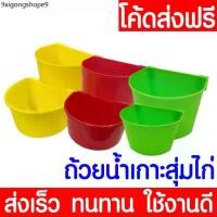 ราคา COZII *ค่าส่งถูก* ถ้วยน้ำไก่ ถ้วยน้ำเกาะสุ่มไก่ นก ไก่ชน เกาะสุ่ม เลี้ยงนก เลี้ยงไก่ clearance (1732805830846678795)