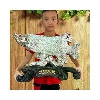 ราคา ปลามังกร ปลา ปลาหัวตรง ปลาเงิน ปลาทอง ปลาคาบเหรียญ ปลาอโรวาน่า (1729622646392784951)