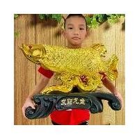 ราคา ปลามังกร ปลา ปลาหัวตรง ปลาเงิน ปลาทอง ปลาคาบเหรียญ ปลาอโรวาน่า (1729648262097438895)