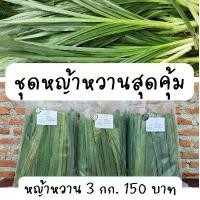 ราคา Gloriashop168 สุดคุ้ม ใบหญ้าหวานอิสราเอล 3 กก สำหรับสัตว์ฟันแทะ กระต่าย เต่า แกสบี้ โปรตีนสูง แนะนำ (1731489132731271399)