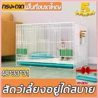 ราคา คุ้มสุดมากแถมถาด กรงกระต่าย กรงแมว กรงสุนัข กรงสัตว์เลี้ยง พับเก็บได้ สำหรับนก สุนัข ลูกแมว กระต่าย กระรอก COD (1732792954168181926)
