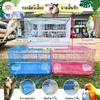 ราคา กรงนก กระต่าย หนูแกสบี้ ชูก้า กรงนกพร้อมอุปกรณ์ กรง 4834 กรงสัตว์เลี้ยง กรงนก (Ratima) (1732604961138443764)