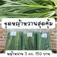 ราคา สุดคุ้ม ใบหญ้าหวานอิสราเอล 3 กก สำหรับสัตว์ฟันแทะ กระต่าย เต่า แกสบี้ โปรตีนสูง ที่นิยมมากที่สุด (1731509720044964278)