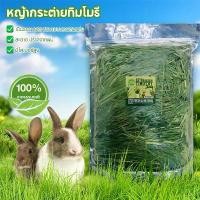 ราคา ♀หญ้ากระต่าย 500G หญ้ากระต่ายทิมโมธี หญ้าทิโมธีอบ ออแกนิค หญ้าทิโมธีร่อนฝุ่นสำหรับ กระต่าย แกสบี้ แพรี่ด็อก ชินชิล่า❆ (1732348843026515493)