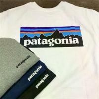 ราคา เสื้อผ้าผู้ชาย เสื้อยืดแขนสั้นผ้าฝ้าย สไตล์คลาสสิค มีโลโก้ Patagonia/P-6 Patagonia 21ss (1732705774745126695)