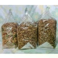 ราคา GUEENMiughsrgsdgjshangmao ปลาจิ้งจั้ง ปลากรอบ3รส งา/ไม่งา/สมุนไพร กรอบอร่อย น้ำหนัก1กิโลกรัม (กัลยาปลาหมึกแห้ง) ที่นิยมมากที่สุด (1732451083126867737)