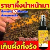 ราคา ผึ้งมาทันทีเก็บผึ้งทั้งฝูง 100ml ฟิโรโมนล่อผึ้ง ของแท้ 100% รุ่นใหม่2024 ดึงดูดผึ้ง 10000 ตัว ไขผึ้ง ไขขี้ผึ้ง น้ำยาล่อผึ้ง ขี้ผึ้งแท้ 100 ไขผึ้งธรรมชาติ หัวเชื้อล่อผึ้ง ใช้ดีกว่ (1732464597289436403)