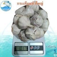 ราคา กระเทียมหัวใหญ่ 1 กิโล 1 แพ็ค กระเทียมไทย กระเทียมสวน กระเทียมแห้ง สมุนไพร เครื่องเทศ เครื่องปรุงรส ของแห้ง ของฝาก ประจวบ (1729449772339136567)