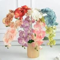 ราคา Phalaenopsis ประดิษฐ์, 3 ชิ้น, 8 หัว, พืชดอกไม้ประดิษฐ์ 3 มิติ, เหมาะสำหรับงานแต่งงานและของตกแต่งบ้าน เทียนทะเลบอนไซ พวงมาลัย ทองคํา พวงมาลัย แต่งห้อง/โรงแรม/ค่าเฟ่/ออฟฟิศ (1730938278047025877)