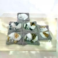 ราคา ตุ๊กตาแมวดูดกลิ่น ห้องนอน/รถ/ออฟฟิศ มีถ่านดูดกลิ่น ขนาด 13x19 ซม. ตุ๊กตาสุดน่ารัก (1729944167297878320)