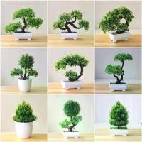 ราคา [COD] กระถางต้นไม้ประดิษฐ์ บอนไซสีเขียว ต้นไม้เล็ก ดอกไม้ปลอม เครื่องประดับกระถางสําหรับสวนโรงแรมโต๊ะห้องตกแต่งสํานักงาน โมบาย หอย แต่งห้อง/โรงแรม/ค่าเฟ่/ออฟฟิศ เส้นด้าย + พลาสติก (1731094202698533607