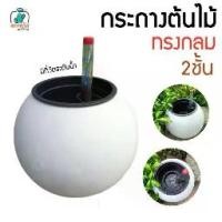 ราคา กระถาง 2 ชั้น 4.5 นิ้ว กระถางรดน้ำอัตโนมัติ ทรงกลม กระถางพลาสติกสีขาว กระถางมินิมอล สำหรับ ไม้ฟอกอากาศ ต้นไม้เล็ก แคคตัส ตัวโชว์ในบ้าน ออฟฟิศ (1730350334714743685)