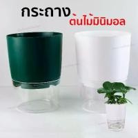 ราคา กระถางต้นไม้ รดน้ำอัตโนมัติ มินิมอล 2 ชั้น กระถางสำหรับปลูกไม้ฟอกอากาศ หรือไม้ทั่วไป ตกแต่ ออฟฟิศ ห้องทำงาน หรือในบ้าน (1729555054334282629)