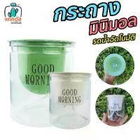 ราคา กระถางต้นไม้มินิมอล พลาสติก สองชั้น รดน้ำต้นไม้อัตโนมัติ เหมาะสำหรับ ปลูก ไม้ฟอกอากาศ ไม้ทั่วไป ตกแต่ง บ้าน ออฟฟิศ สีขาว / สีเขียว (1729555149216910213)