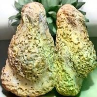 ราคา [จัดส่งทันที] พระปิดตา หลวงปู่ยิ้ม วัดหนองบัว พระเครื่อง ส่งตามภาพ (1732367631632336514)