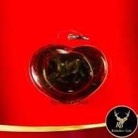 ราคา [จัดส่งทันที] พระเครื่อง ม้าเสพนางของหลวงพ่อครูบาวัง พรหมเสโน แช่น้ำมันจันทน์ ฝังตะกรุด วัดบ้านเด่น จ.ตาก เมตตามหาเสน่ห์ ค้าขาย เลี่ยมกรอบพลาสติก (1732797881072715435)