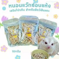 ราคา หนอนแว๊กซ์อบแห้ง (ฟรีซดราย) หรือหนอนน้ำผึ้งฟรีซดราย สำหรับชูการ์ไกรเดอร์ แฮมเตอร์ กระรอก เม่นแคระ ดอร์เมาส์ ขนมสำหรับชูการ์ไกลเดอร์ ขนมสำหรับแฮมสเตอร์ เนื้อแท่งโภชนาการสำหรับชินช (1732364739929539812)