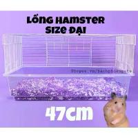 ราคา กรงหนูแฮมสเตอร์ ขนาดใหญ่ 47 ซม. เหมาะสำหรับหนูตะเภา หนูแฮมสเตอร์ และเม่น กรงเปล่า ไม่รวมอุปกรณ์เสริมสำหรับสัตว์เลี้ยง Bach Phien Pets (1732314206268065753)