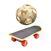 ราคา สเก็ตบอร์ดฝึกเต่า พร้อมลูกบอลขนม สำหรับเต่า หนูแฮมสเตอร์ นกแก้ว และนกแก้ว (1732459536732292581)