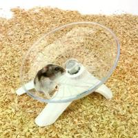 ราคา ล้อออกกำลังกายหนูแฮมสเตอร์ ดีไซน์หมุนอย่างเงียบสงบ จานหมุนทรงกลมแบบไม่มีเสียงสำหรับวิ่ง ทนทาน กันลื่น เหมาะสำหรับสัตว์เลี้ยงขนาดเล็ก เช่น หนูแฮมสเตอร์ ยอร์บ และหนู (1731037027474180867)