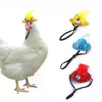 ราคา หมวกไก่, น่ารักและตลก, หมวกมินิ, หมวกกันน็อคไก่, เครื่องประดับ, หมวกท็อปขนนก, ไก่, เป็ด, นกแก้ว, หนูแฮมสเตอร์, สัตว์ปีก, เสื้อผ้าโชว์แฟชั่น, ของเล่นกีฬา, 3C แฟชั่น (1731183169095829062)
